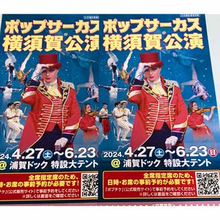 ポップサーカス横須賀　2枚　入場券　匿名で(サーカス)