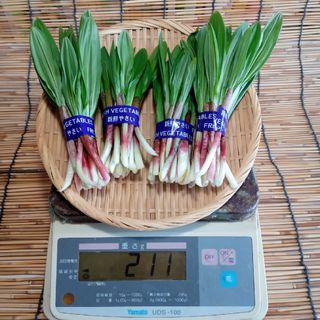 行者にんにく　200g　アイヌネギ　ヒトビロ(野菜)