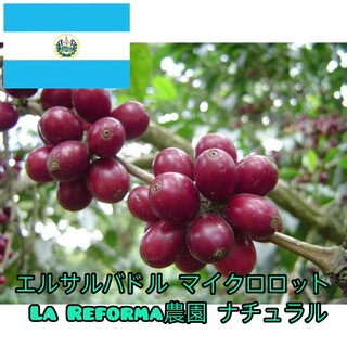 コーヒー豆　生豆　エルサルバドル　ナチュラル(コーヒー)