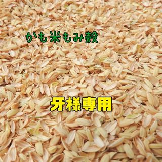 無農薬米新潟県産コシヒカリのもみ殻(米/穀物)