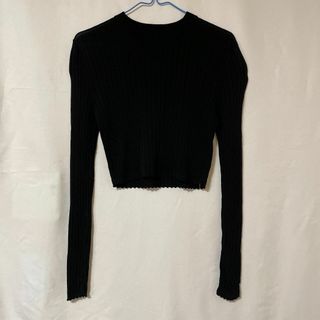 ザラ(ZARA)のハイネック　ショートニット　t044(ニット/セーター)