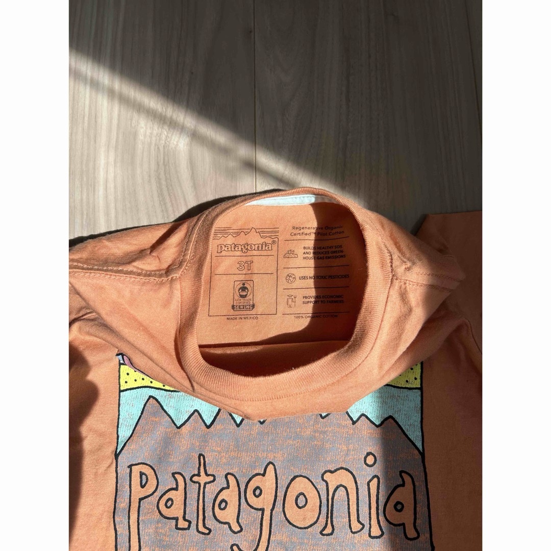 patagonia(パタゴニア)のPatagonia Tシャツ キッズ キッズ/ベビー/マタニティのキッズ服男の子用(90cm~)(Tシャツ/カットソー)の商品写真