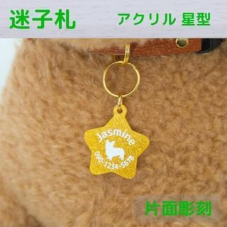 きらめく星の迷子札☆アクリルラメ　片面彫刻　オーダーメイド(犬)