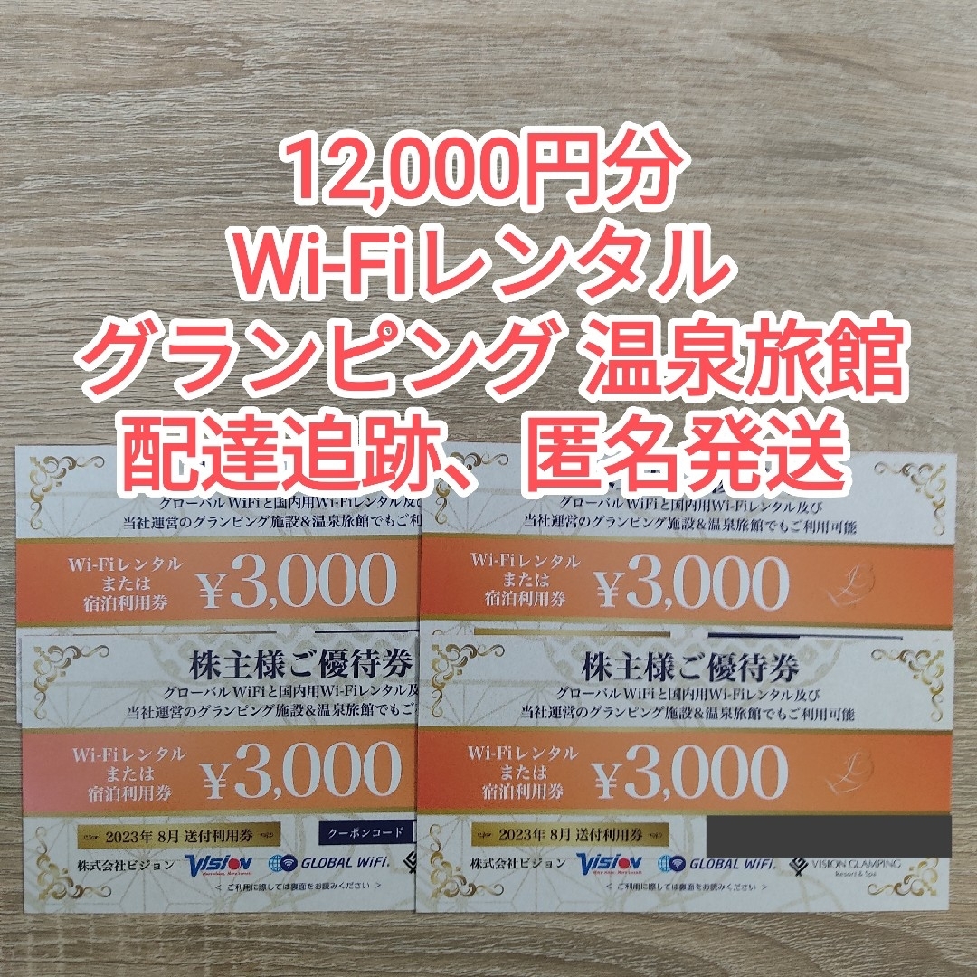 ビジョン 株主優待券 12000円分 チケットの施設利用券(その他)の商品写真