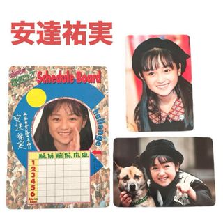 安達祐実❤グッズ　両面カード　スケジュールボード　3点セット　女優　即購入可能(女性タレント)