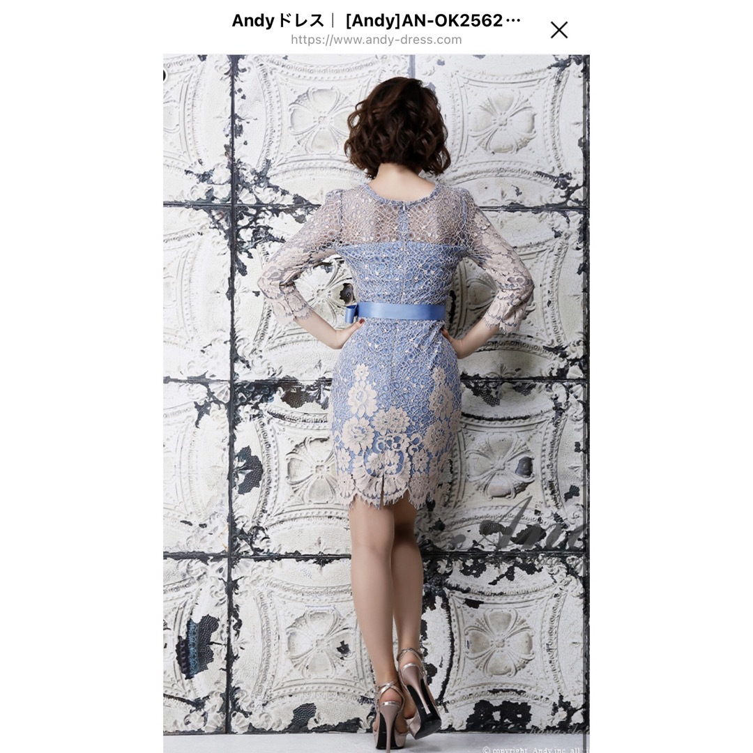 Andy(アンディ)のAndy レースフラワー袖付きドレス M レディースのフォーマル/ドレス(ミニドレス)の商品写真