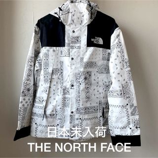 ザノースフェイス(THE NORTH FACE)の日本未入荷　THE NORTH FACE　マウンテンジャケット L(マウンテンパーカー)