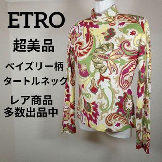 エトロ(ETRO)のお354超美品　エトロ　カットソー　42　ペイズリー　ツルツル素材　マルチカラー(Tシャツ(長袖/七分))