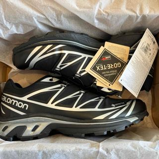 28cm 新品正規品 Salomon XT-6 GORE-TEX ゴアテックス