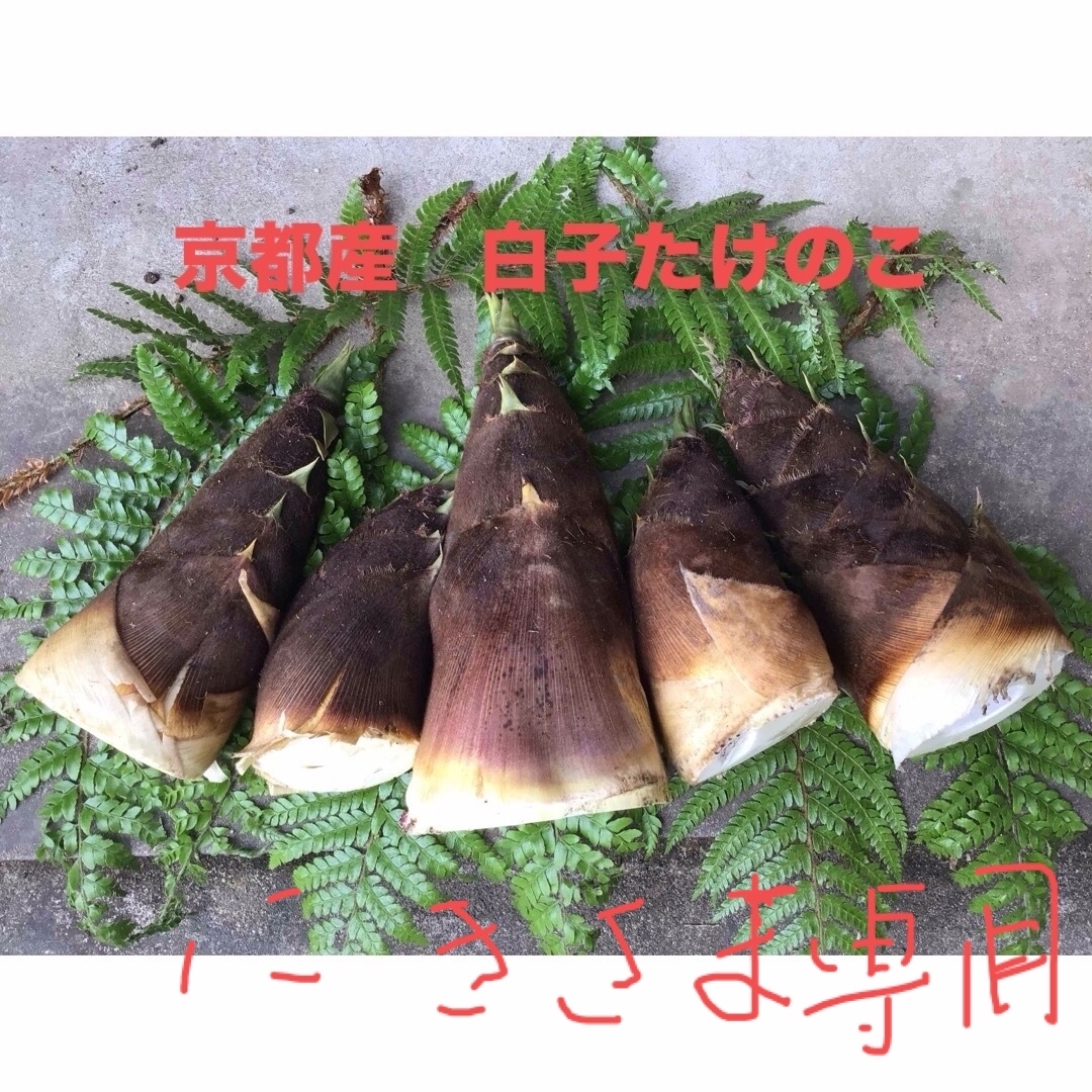 たけのこ 食品/飲料/酒の食品(その他)の商品写真