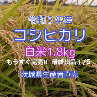 令和5年産　コシヒカリ　1.８kg　白米　１等米　茨城県生産者直売　☆送料無料☆(米/穀物)