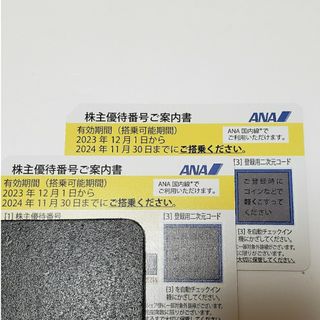 エーエヌエー(ゼンニッポンクウユ)(ANA(全日本空輸))のANA株主優待券　2024年11月30日まで✖️2枚(その他)