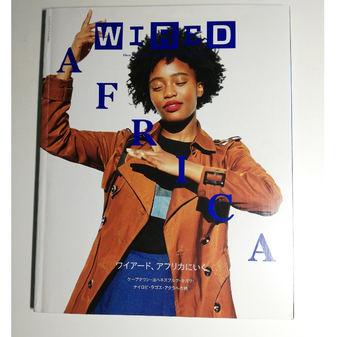 雑誌　wired  vol 29 エンタメ/ホビーの雑誌(専門誌)の商品写真