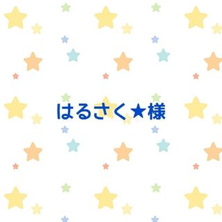 はるさく★様　着替え袋&移動ポケット(バッグ/レッスンバッグ)