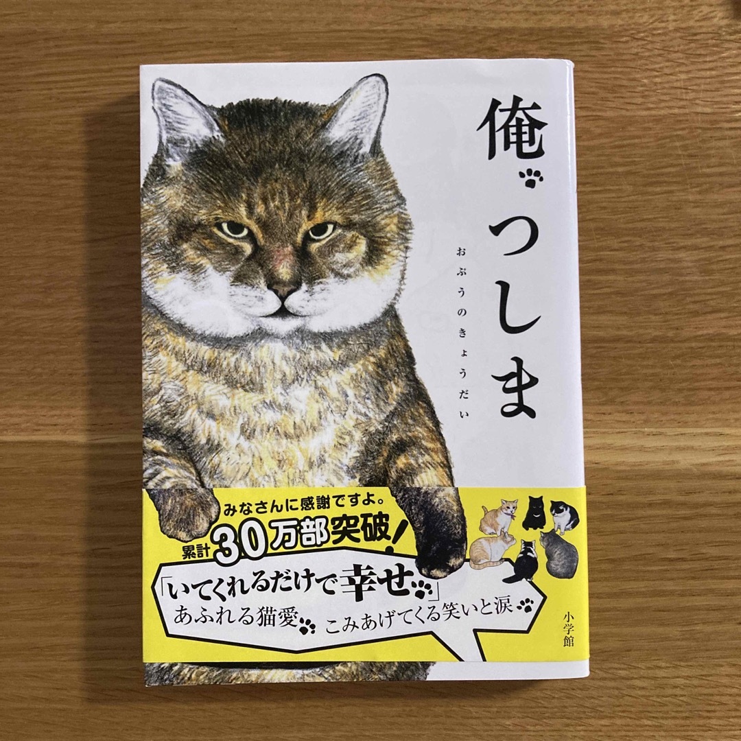 俺、つしま エンタメ/ホビーの漫画(その他)の商品写真