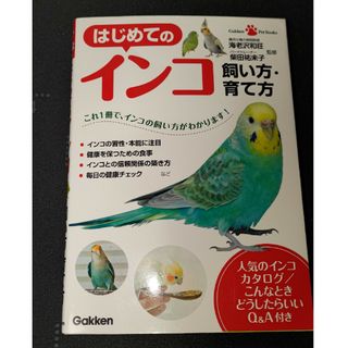 はじめてのインコ飼い方・育て方(住まい/暮らし/子育て)