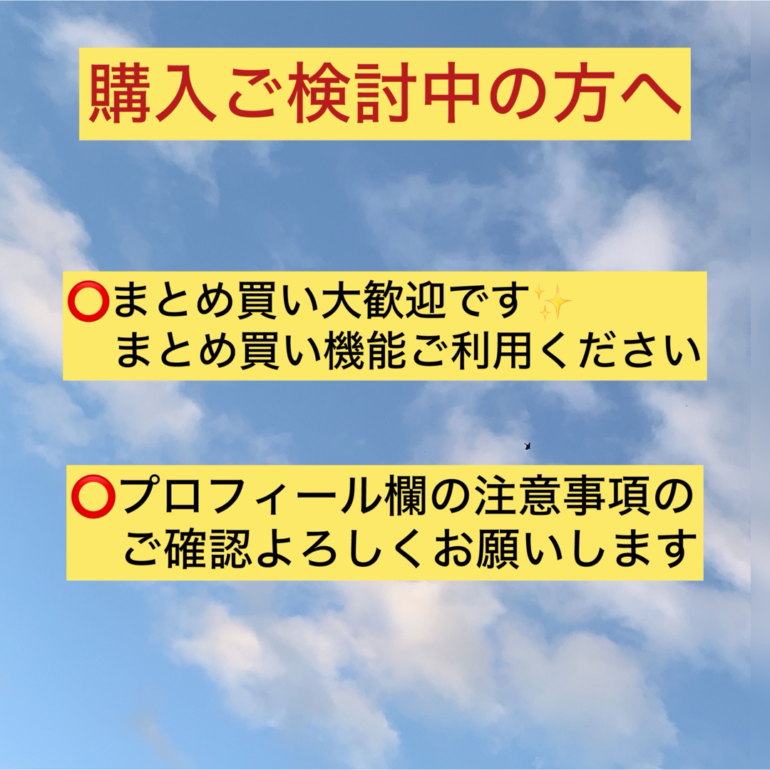 おぱんちゅうさぎ(オパンチュウサギ)の新品 未開封】  おぱんちゅうさぎ アクリルヘアクリップ ヘアピン レディースのヘアアクセサリー(ヘアピン)の商品写真