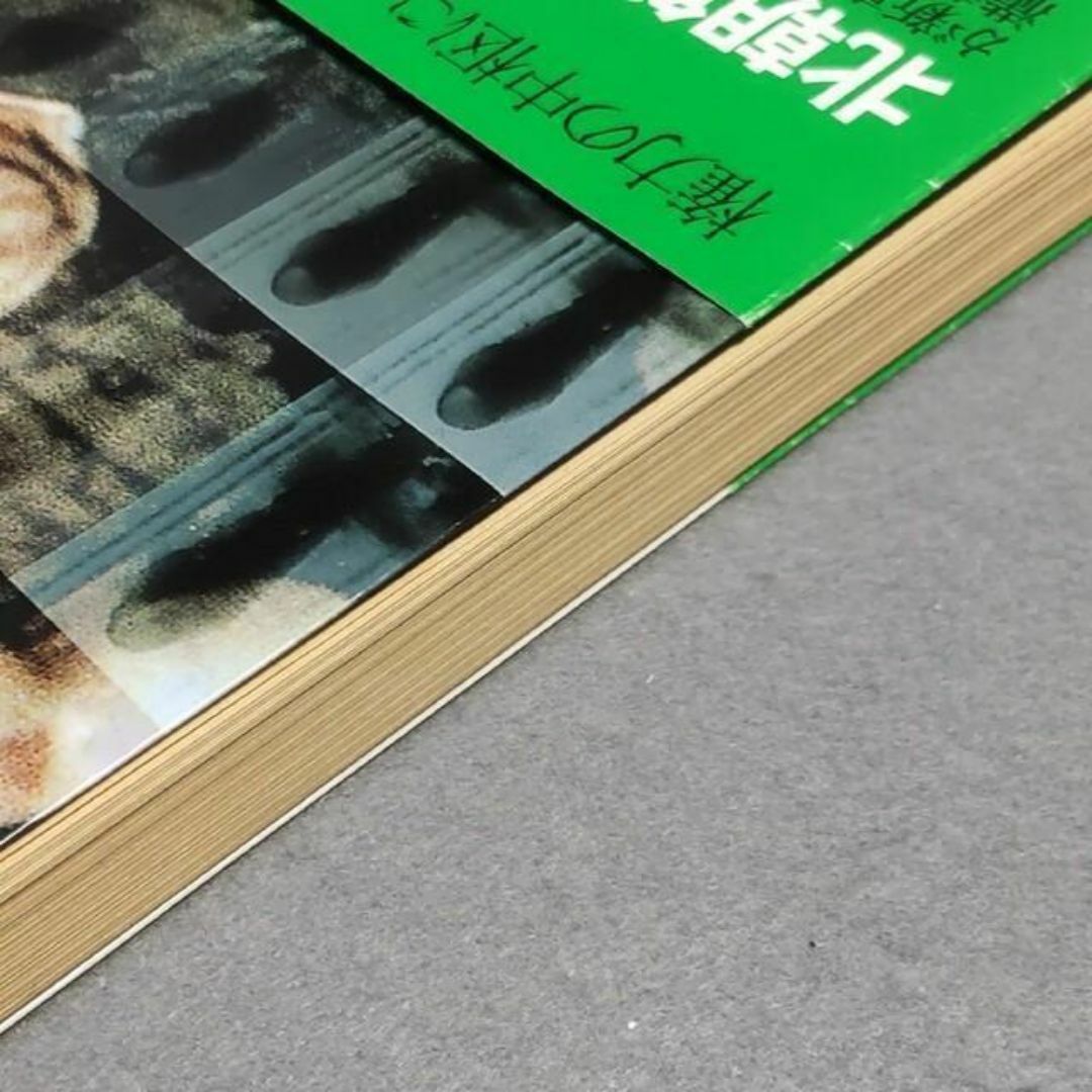 北朝鮮の最高機密 康明道 尹学準 エンタメ/ホビーの本(ノンフィクション/教養)の商品写真