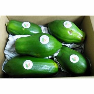 特価！！とれたて島野菜！沖縄産青パパイヤおまかせ2kg以上！サラダや炒め物にも！(野菜)