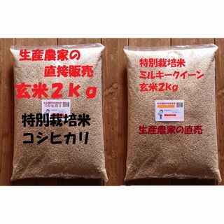★新米★[玄米]特別栽培米コシヒカリとミルキークイーン２ｋｇづつセット減農薬栽培(米/穀物)