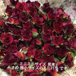 ミニ薔薇20輪セット+おまけ2輪付き★ミニバラ　ドライフラワー花材★レジンアクセ(ドライフラワー)
