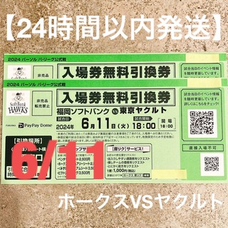 ホークスVS東京ヤクルト6/11試合チケット2枚セット(野球)