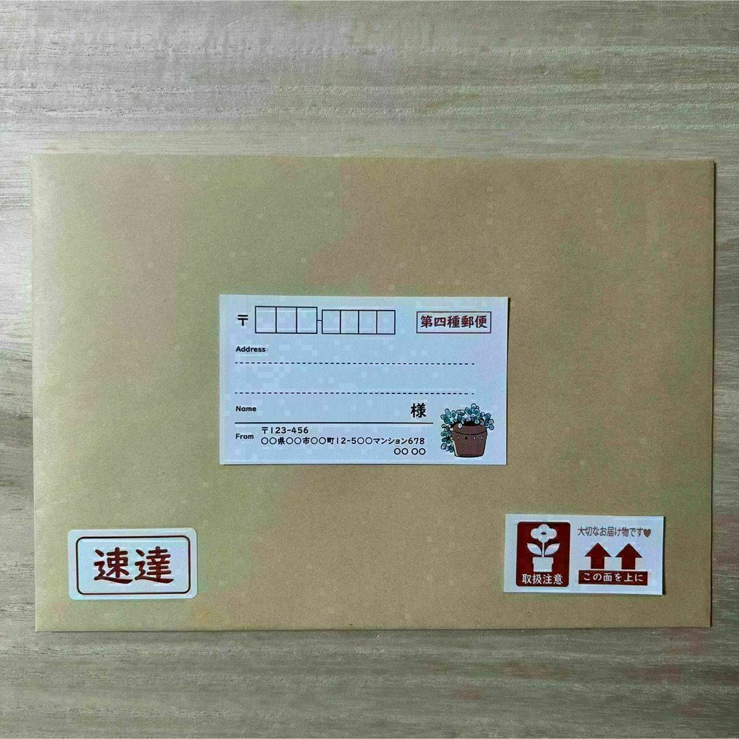 宛名シール*A15 多肉植物 サボテン 第四種郵便 40枚 ハンドメイドの文具/ステーショナリー(宛名シール)の商品写真