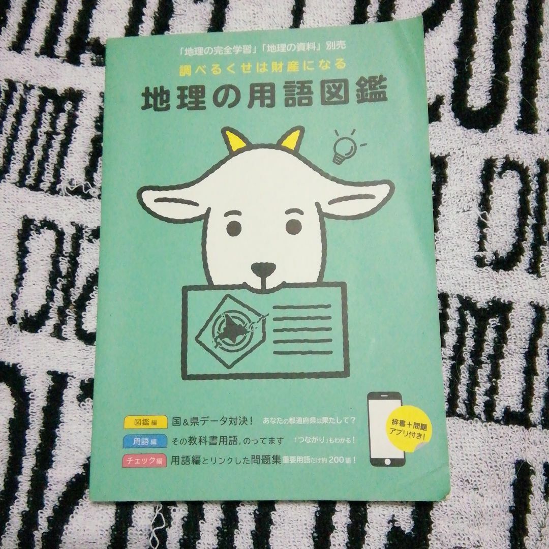 地理の用語図鑑 エンタメ/ホビーの本(語学/参考書)の商品写真