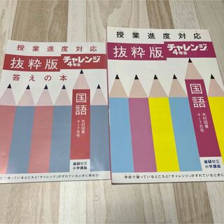 ベネッセ(Benesse)のチャレンジ4年生　抜粋版　【国語】(語学/参考書)