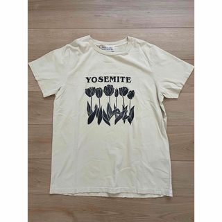 レミレリーフ(REMI RELIEF)の【新品未使用】REMI RELIEF　Ｔシャツ　XLサイズ(Tシャツ/カットソー(半袖/袖なし))