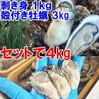 送料無料！【生食用剥き身500g２本】と【殻付き牡蠣３ｋｇ（約27個）】のセット(魚介)