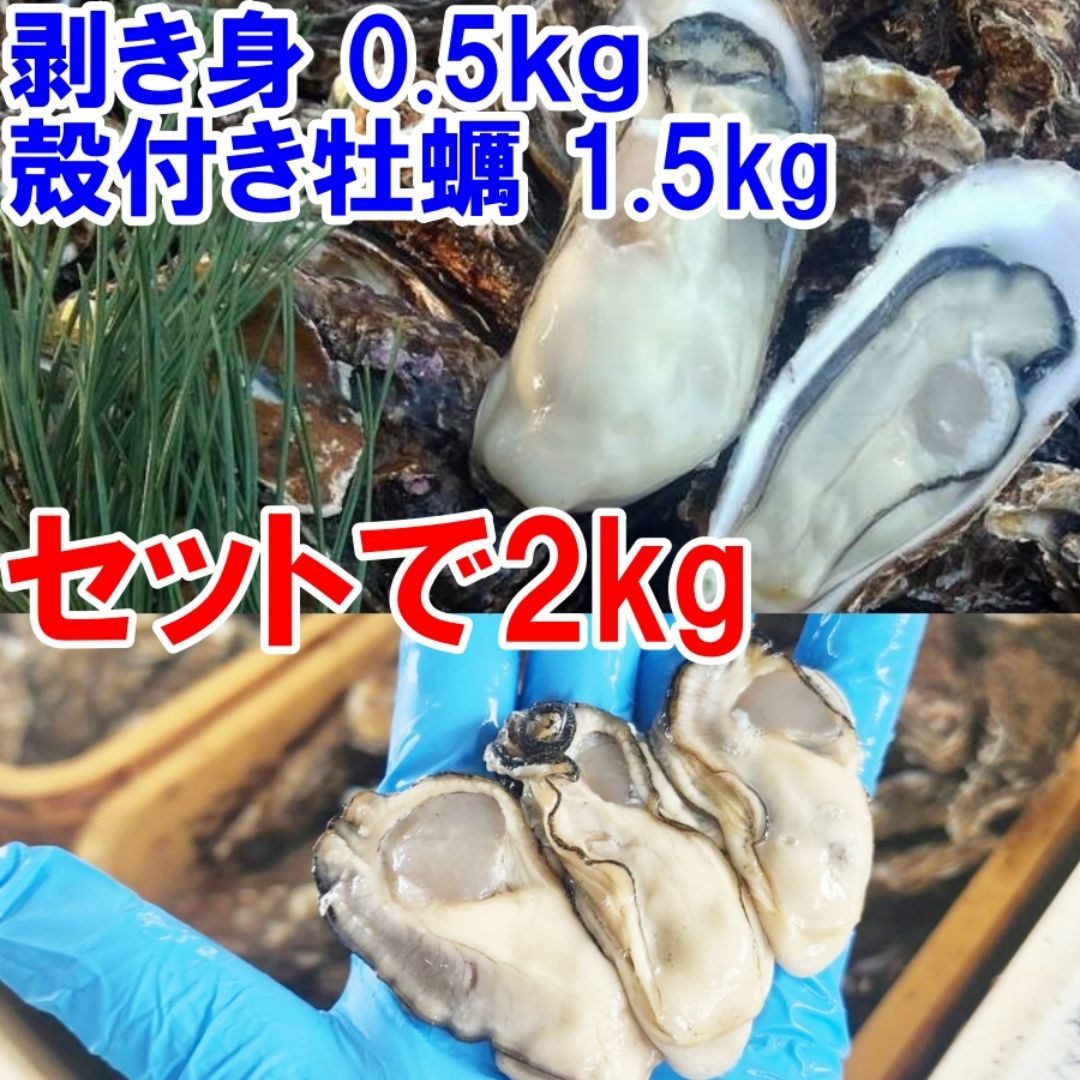 送料無料！【生食用剥き身500ｇ】と【殻付き牡蠣1.5ｋｇ（約13個）】のセット 食品/飲料/酒の食品(魚介)の商品写真