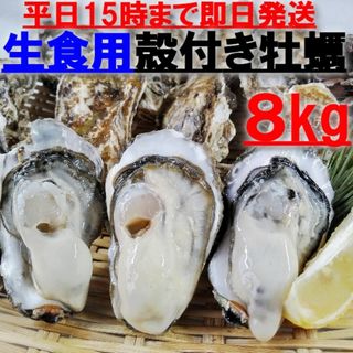 15時まで即日発送可能 生食用 殻付き 牡蠣 ８ｋｇ（約９０粒）牡蠣 殻付(魚介)