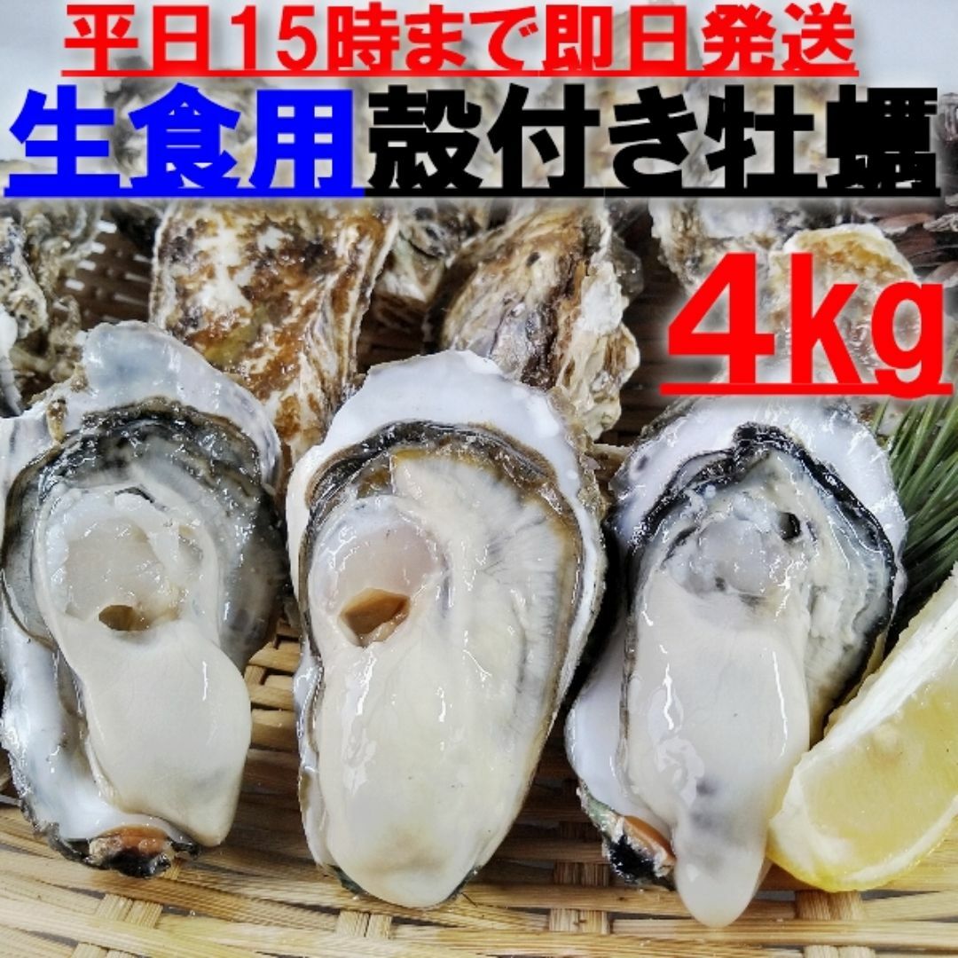 15時まで即日発送可能  生食用 殻付き 牡蠣 ４ｋｇ（28~70粒）牡蠣 殻付 食品/飲料/酒の食品(魚介)の商品写真