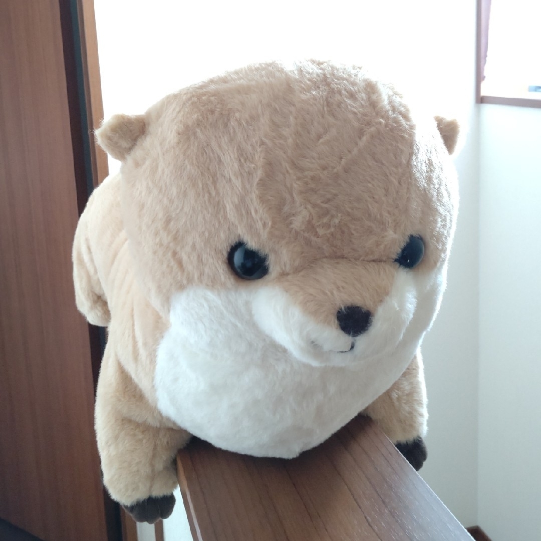 新品♪ くったり カワウソ BIG ぬいぐるみの通販 by るぅ☆'s 新品♪ くったり カワウソ BIG ぬいぐるみの通販 by るぅ☆'s