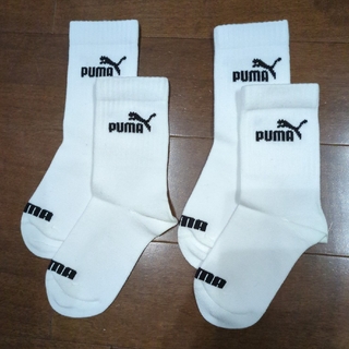 プーマ(PUMA)のPUMA ソックス 白 19〜21cm ２足組(靴下/タイツ)