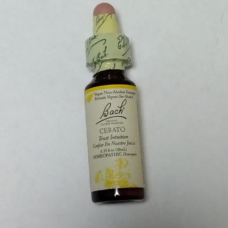 no5 セラトー  グリセリン 10ml バッチフラワー セラト  pzqt(その他)