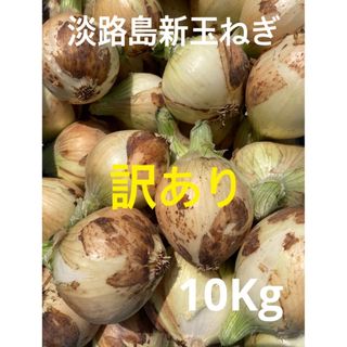 ✴︎訳あり10Kg✴︎淡路島新玉ねぎ　たまねぎ　玉葱(野菜)