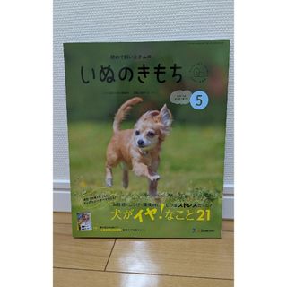 【最新刊】初めて飼い主さんの　いぬのきもち　2024年　5月号