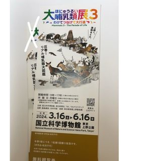 ＊大哺乳類展3 　無料観覧券1枚(美術館/博物館)