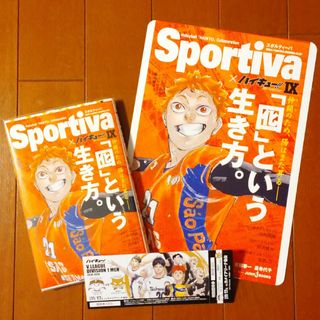 ハイキュー!! ショーセツバン 9巻  日向翔陽　ビジュアルボード 付き