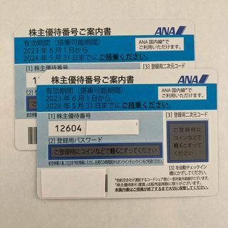 エーエヌエー(ゼンニッポンクウユ)(ANA(全日本空輸))のANA株主優待券　２枚組(その他)