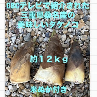 たけのこ　三重県　桑名産　約12.5キロ　米ぬか付き(野菜)