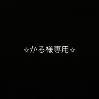 ルイパパさん苗セット♪ 札付き　ラクマパック　ポットごと(その他)