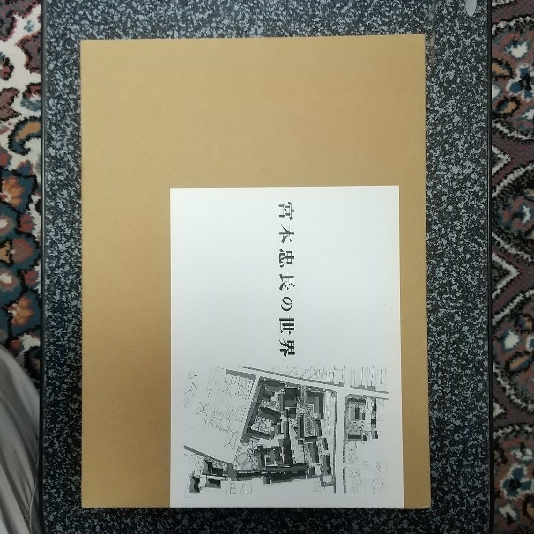 宮本忠長の世界 エンタメ/ホビーの本(科学/技術)の商品写真