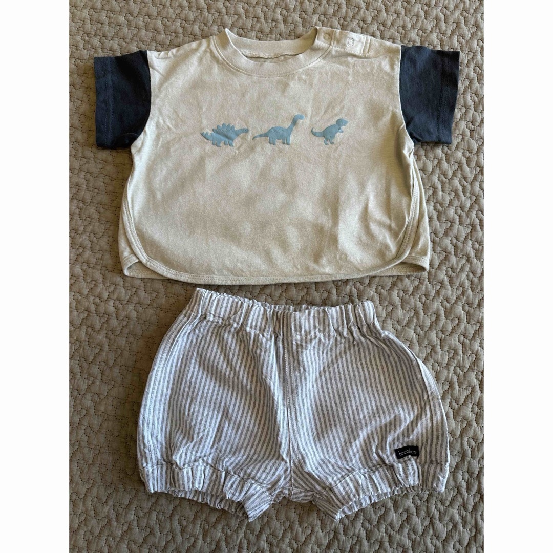 ブランシェス　80  半袖　半ズボン　ベビー キッズ/ベビー/マタニティのベビー服(~85cm)(Ｔシャツ)の商品写真