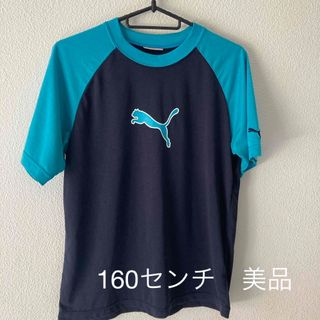 プーマ(PUMA)のティシャツ　プーマ　160センチ(Tシャツ/カットソー)