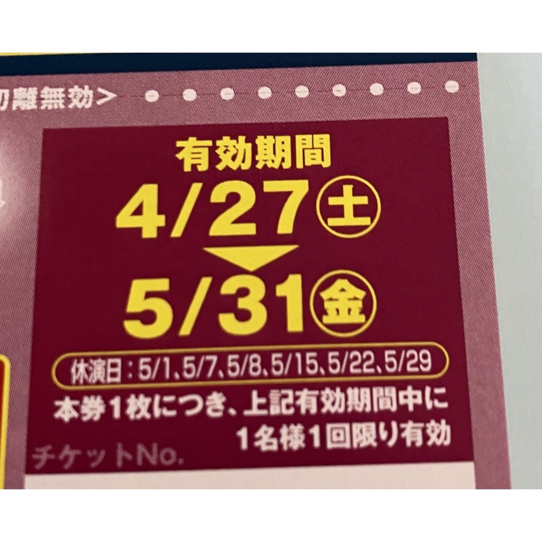 ポップサーカス横須賀　入場券 2枚　匿名 チケットの演劇/芸能(サーカス)の商品写真