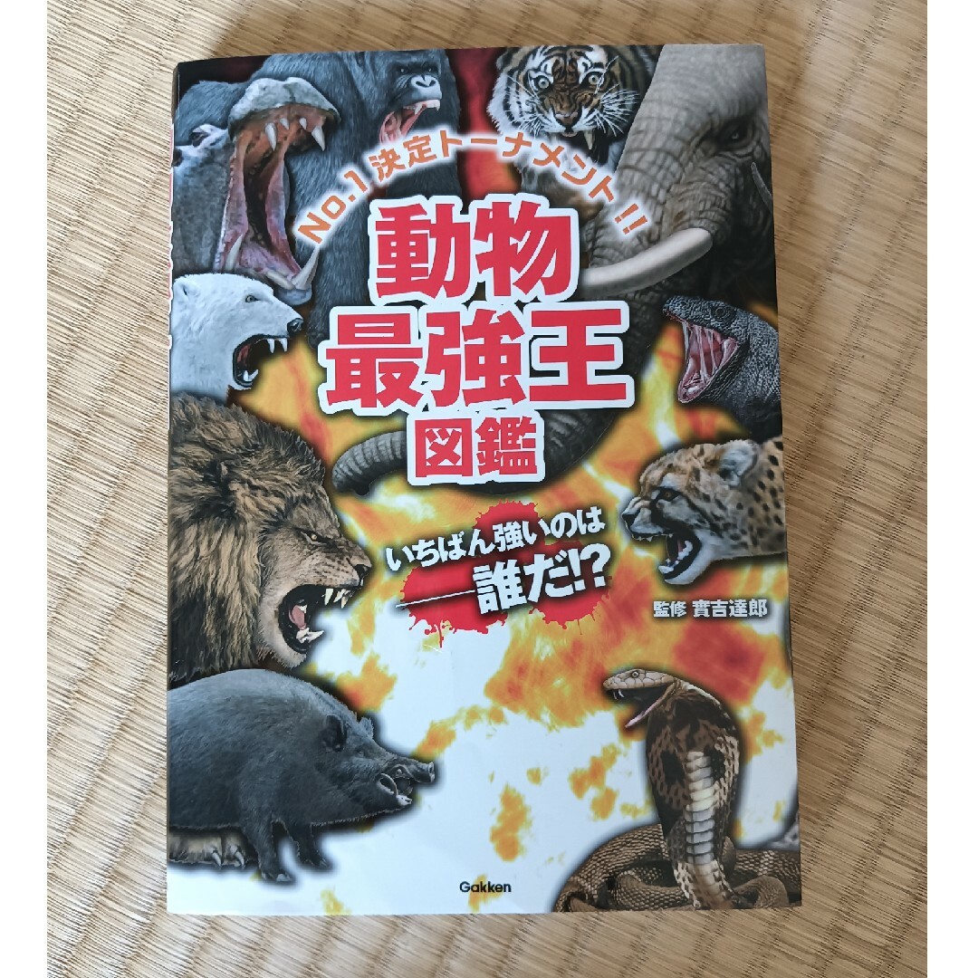 学研(ガッケン)の動物最強王図鑑 エンタメ/ホビーの本(絵本/児童書)の商品写真