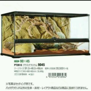 中古！！GEX グラステラリウム 9045(爬虫類/両生類用品)